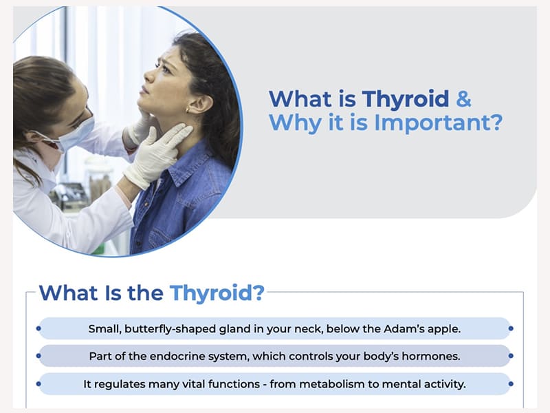 What is Thyroid & Why it is Important